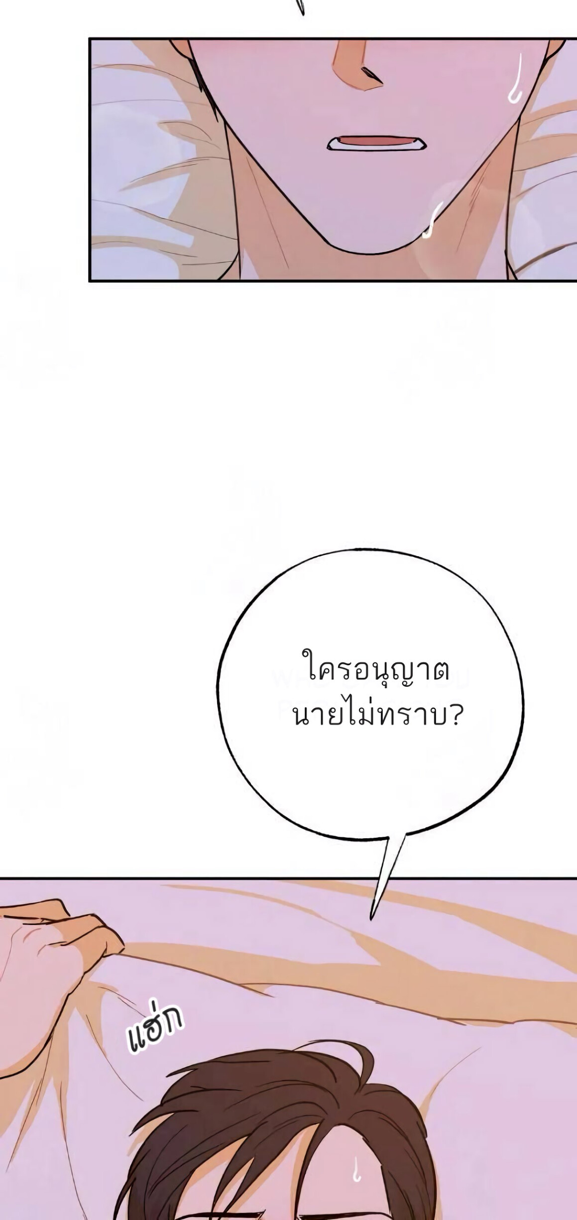 Open at Night EP 15